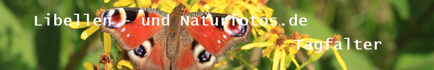 Libellen- und Naturfotos.de